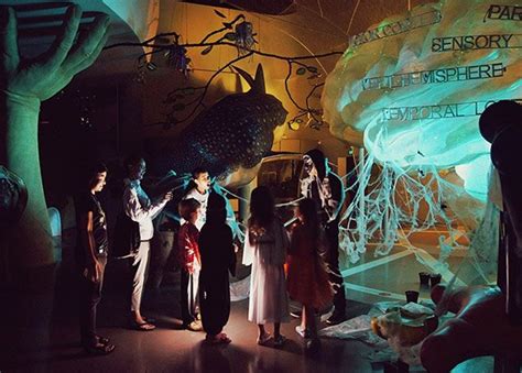 mind museum closing time|Everything You Need to Know about The Mind .